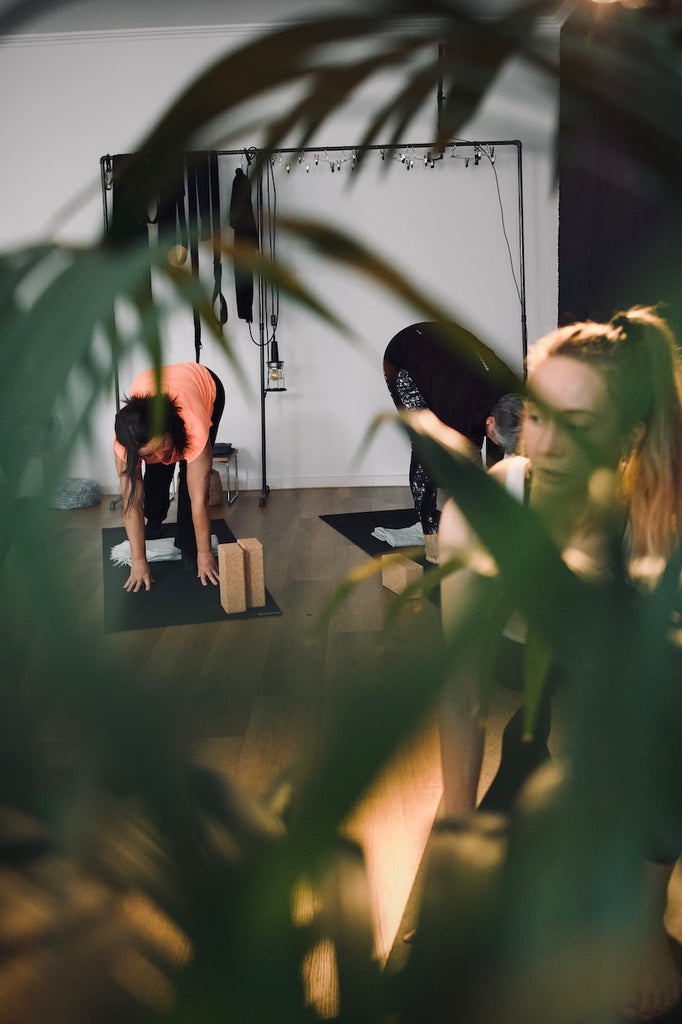Blick durch eine grüne Pflanze hindurch auf eine Yoga-Stunde im LE MOUV Studio, in der alle konzentriert bei der stehenden Vorbeuge sind.